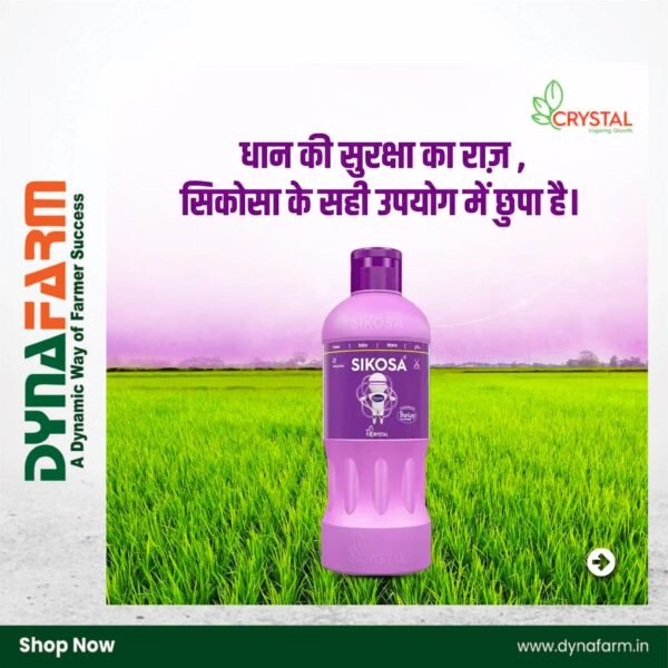 Crystal Sikosa – Bensulfuron-Methyl 4.8% + Pretilachlor 48% OD Herbicide for Broadleaf, Grass & Sedge Weeds in Paddy - Image 3