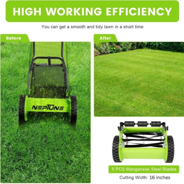 Neptune 16.5″ Manual Reel Lawn Mower (Adjustable Push Reel, 4-Blade Cutting, Lightweight Design) - Image 7