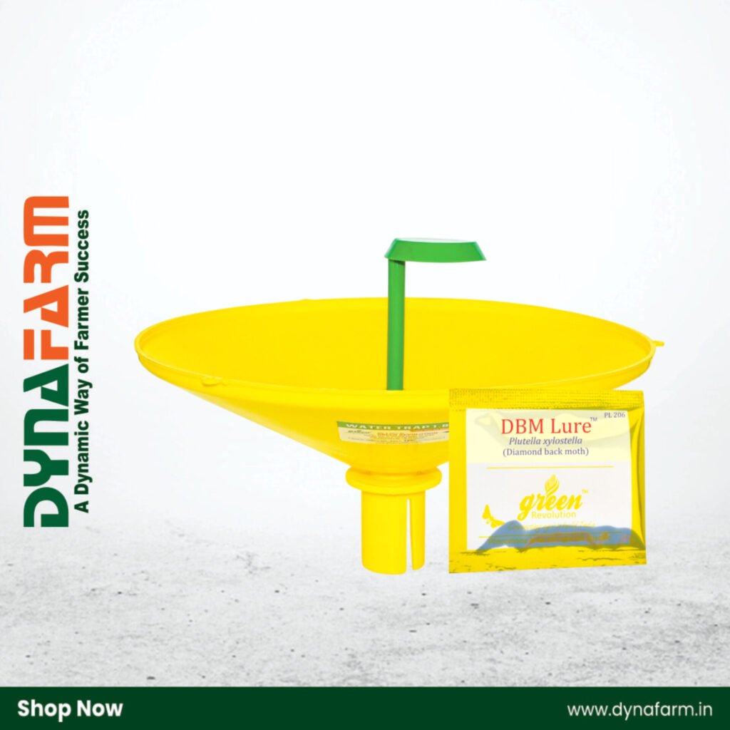 Dynafarm - InShot 20260205 115301941.jpg