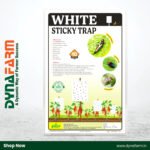 Dyna Sticky Trap White™ | A4 Size Insect Trap Sheet for Aphid, Jassid & Leafhopper Control – Pack of 10/25/50/100