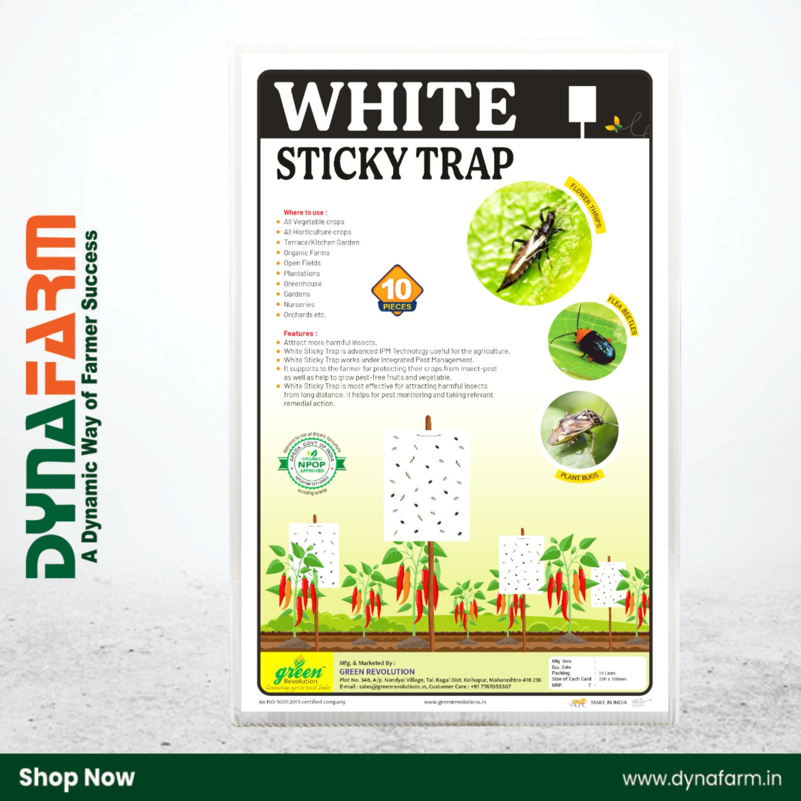 InShot_20260210_171623876.jpg Dyna Sticky Trap White™ | A4 Size Insect Trap Sheet for Aphid, Jassid & Leafhopper Control – Pack of 10/25/50/100 - Image 1