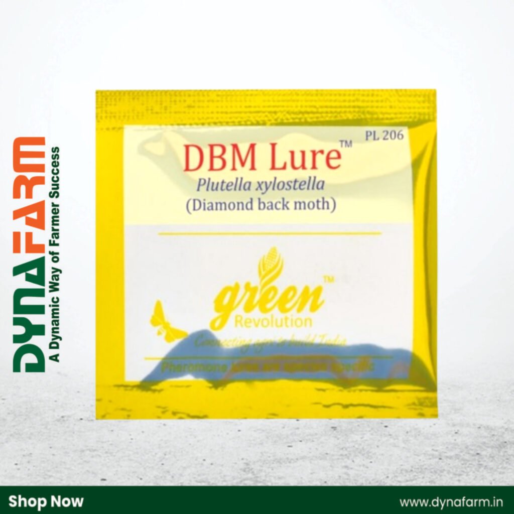 Dynafarm - InShot 20260213 165031367.jpg