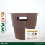 Dyna White Grub Lure™ | H. serrata & H. consanguinea Pheromone Lure