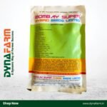 Bombay Super Chocolate – Hybrid Chicory Seed (Fodder Seed) - Image 2