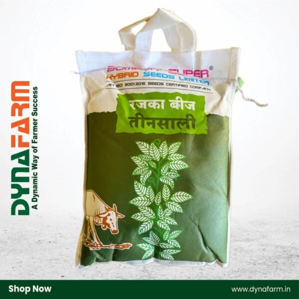 Bombay Super Teensali – Multi-Cut Lucerne / Rijka (Fodder Seed) - Image 1