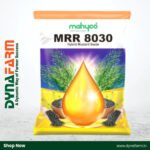 Mahyco MRR-8030 – Hybrid Mustard Seed