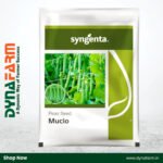 Syngenta Mucio – High-Yield Green Peas Imported Seed