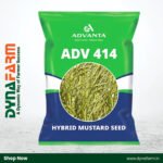Advanta ADV-414 – Hybrid Mustard Seed