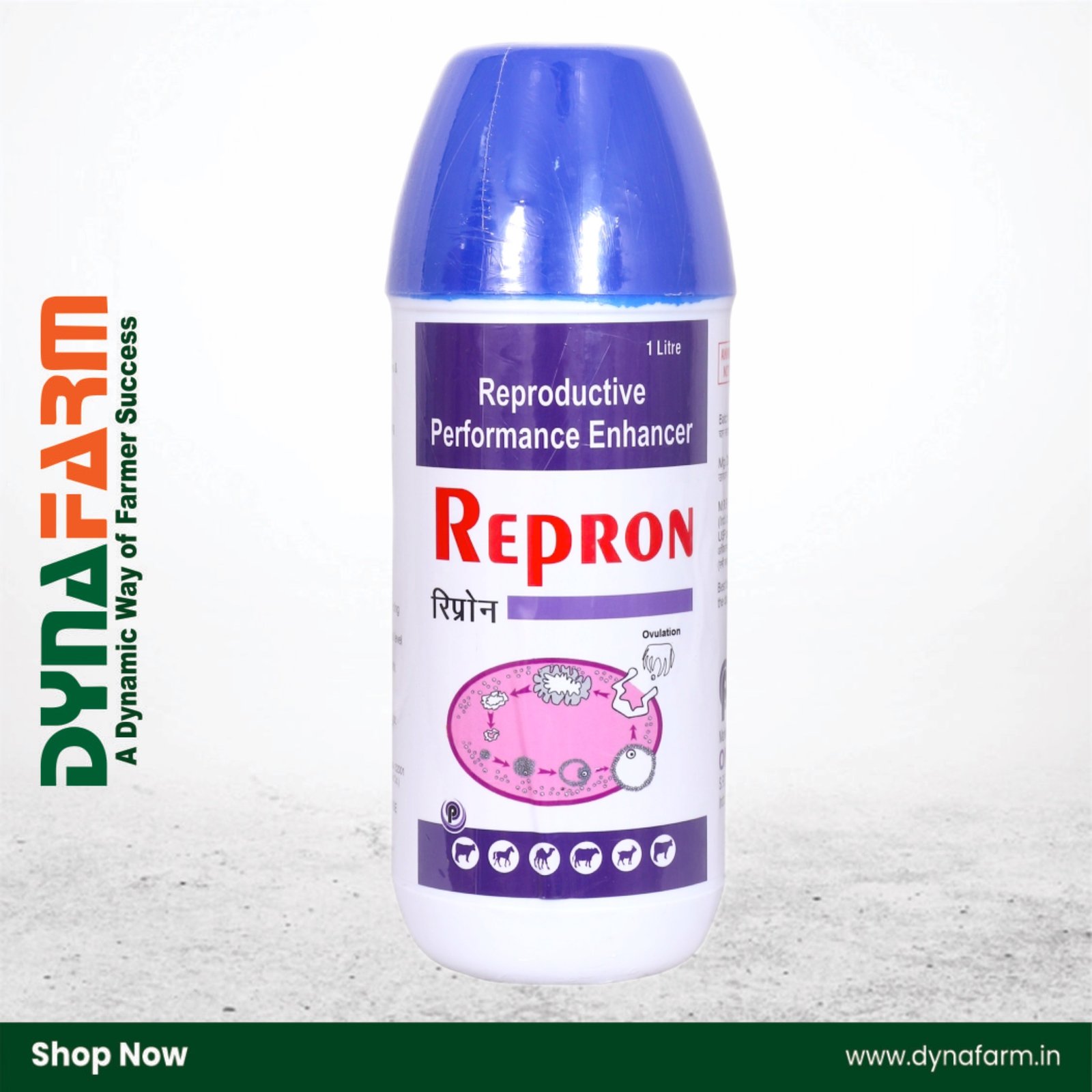 IMG_8325.JPEG Repron - Reproductive Health Tonic for Livestock - Image 1