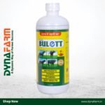 Bulett – Nutrient Power for Gut Health, Strength & Stamina