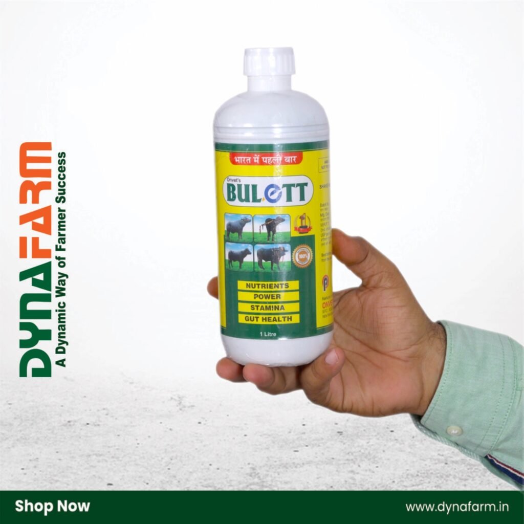 Dynafarm - IMG 8331.JPEG