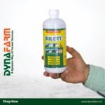 Bulett – Nutrient Power for Gut Health, Strength & Stamina - Image 2