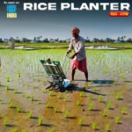 RBD 4TPM Rice Transplanter – 4 Row Paddy Transplanting Machine - Image 3