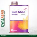 Saffire Cut Shot – 2,4-D Ethyl Ester 38% EC Broad-Spectrum Herbicide