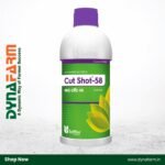 Saffire Cut Shot - 58 – 2,4-D Amine Salt 58% SL Broad-Spectrum Herbicide