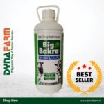 Big Bakra Goat & Sheep Growth Promotor – Animal Health Supplement
