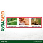 Crystal Predator Insecticide - Image 2