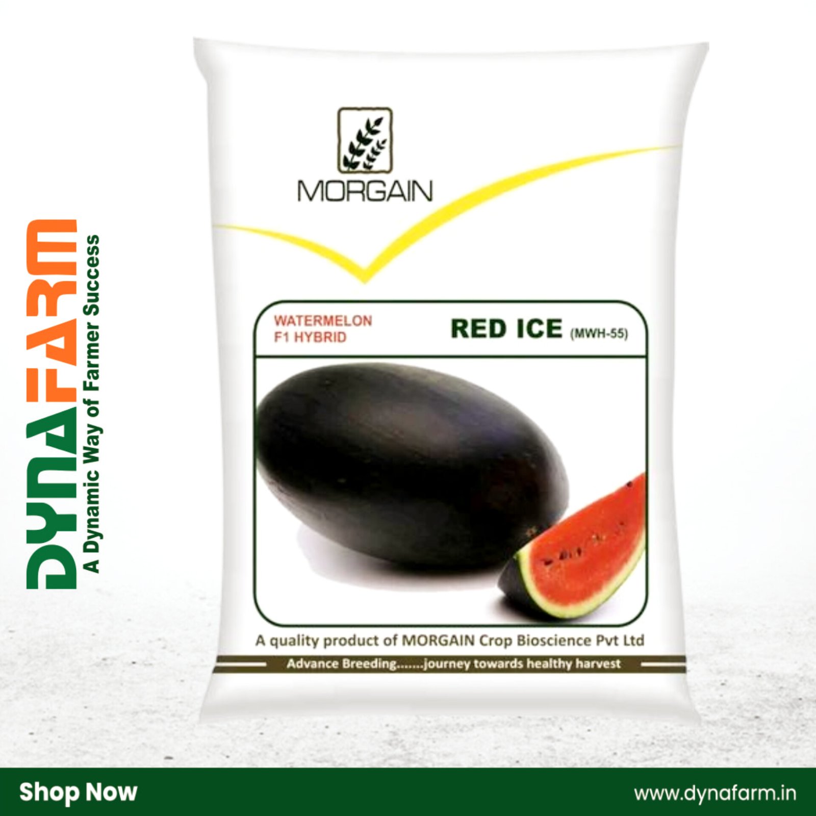 InShot_20251218_152713494 MORGAIN Red Ice (MWH-55) F1 Hybrid Watermelon Seeds – High Yield | Premium Quality | Deep Red Sweet Flesh - Image 1