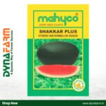 Mahyco Shakkar Plus Hybrid Watermelon Seeds | Very Sweet | Ice Box Segment Fruits | High Yield
