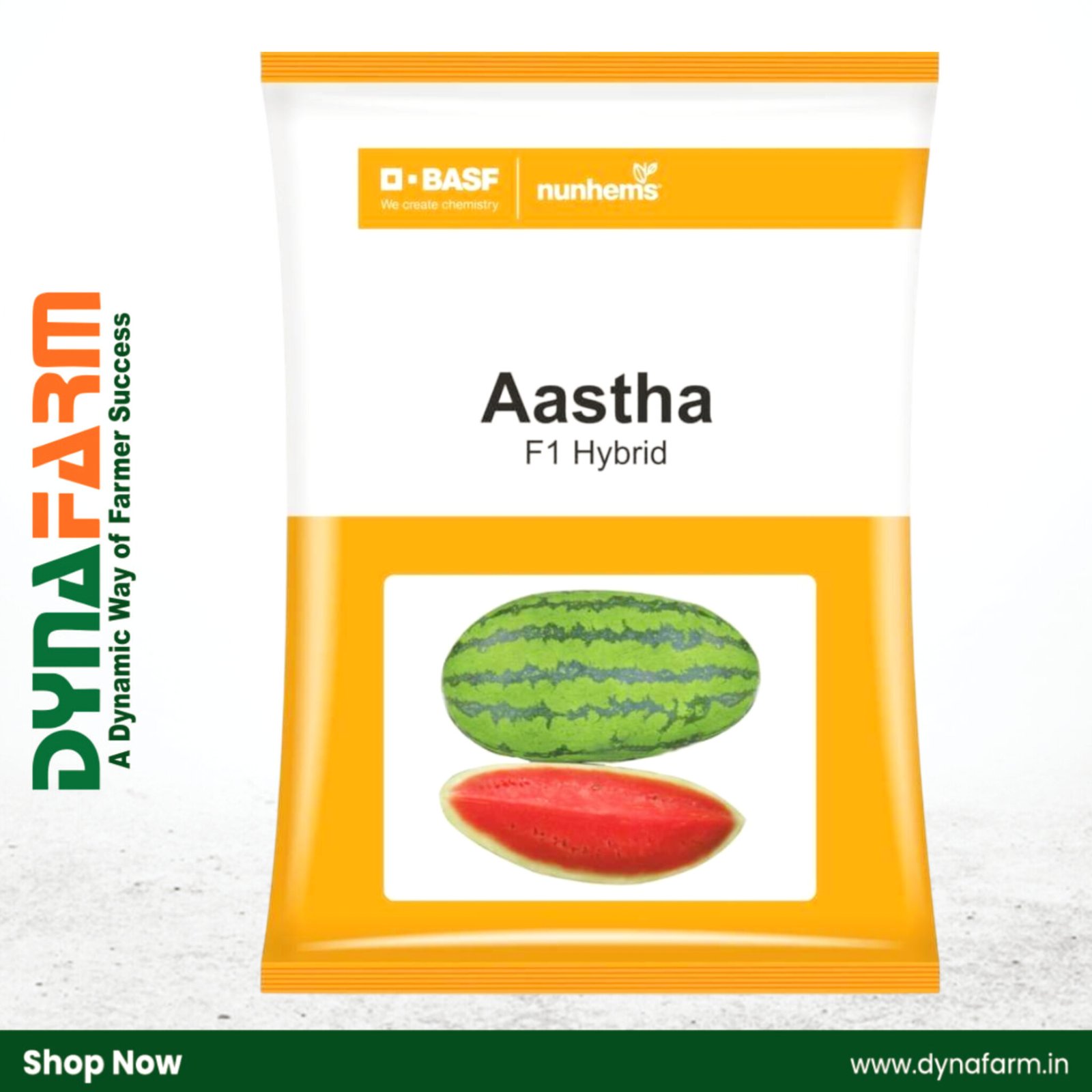 InShot_20251218_154033848 Nunhems Astha Watermelon Seeds | High Yield Hybrid | Sweet Red Flesh | Premium Quality - Image 1