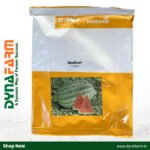 Nunhems Madhuri Watermelon Seeds | High Yield | Sweet Red Flesh | Premium Hybrid Variety