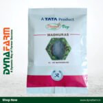 Madhuras F1 Hybrid Icebox Watermelon Seeds – Extra Sweet | Compact Size | High Yield