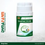 Exylon Impactor – High-Strength Systemic Insecticide for Sucking Pest Control