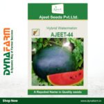 Ajeet-44 F1 Hybrid Watermelon Seeds – High Yield | Premium Quality | Sweet Red Flesh