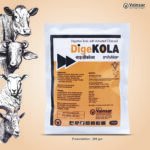 Vanisar Digekola – Digestive Tonic with Activated Charcoal - Image 2