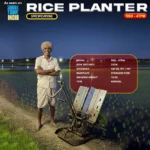 RBD 4TPM Rice Transplanter – 4 Row Paddy Transplanting Machine - Image 2