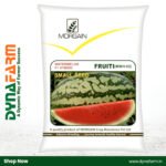 Morgain Fruiti F1 Hybrid Watermelon Seeds – High Yield | Premium Quality | Sweet Red Flesh