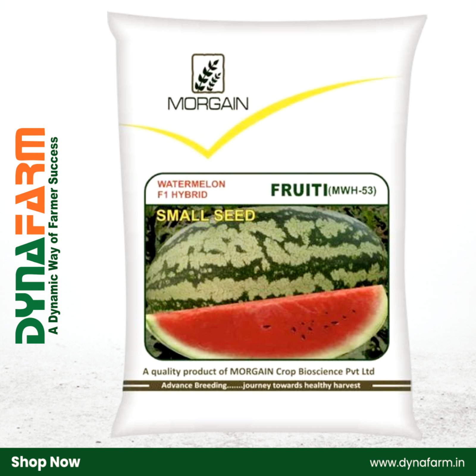 fruiti Morgain Fruiti F1 Hybrid Watermelon Seeds – High Yield | Premium Quality | Sweet Red Flesh - Image 1