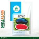 Rustam Nath F1 Hybrid Watermelon Seeds – High Yield | Premium Quality | Sweet Red Flesh
