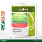 Syngenta Dragon F1 Watermelon Seeds – High Yield Hybrid | Extra Sweet | Strong Vine Growth