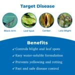 Streptocycline Bactericide - Image 2