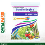 Berrysun DOUBLE ENGINE