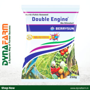 Berrysun DOUBLE ENGINE