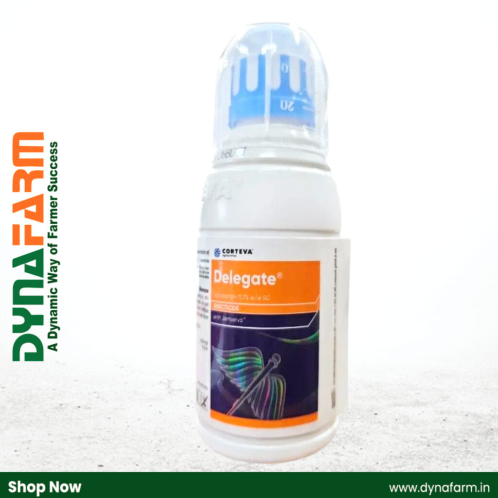 Dynafarm - InShot 20260116 122515201.jpg