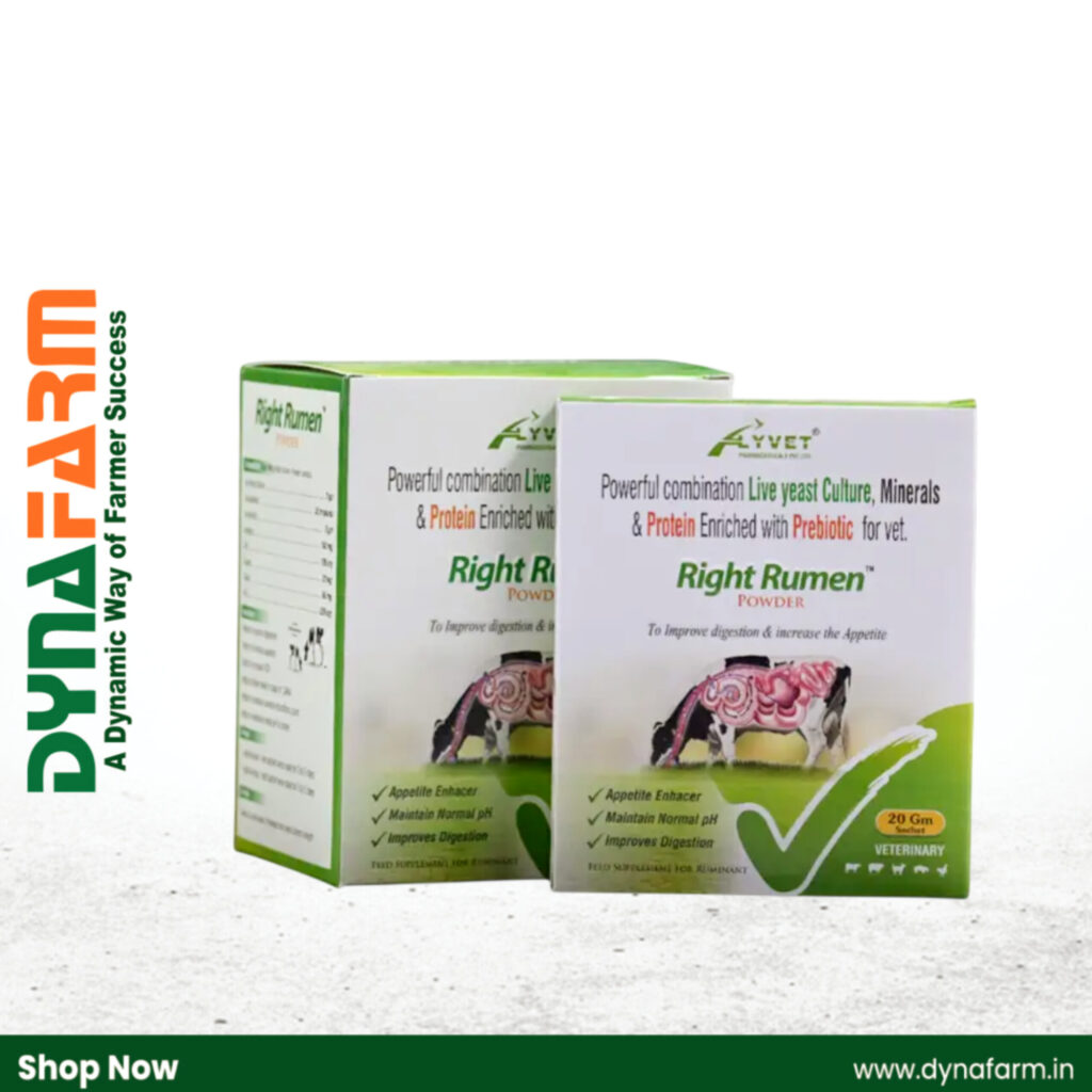 Dynafarm - InShot 20260128 214756776.jpg