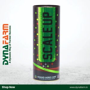 Anand Agro Care Scale Up