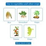Streptocycline Bactericide - Image 3