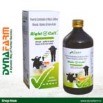 Right Calf – Calf Growth Supplement
