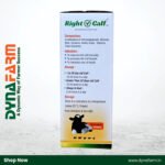 Right Calf – Calf Growth Supplement - Image 2