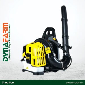 LEAF BLOWER [KK-LBV-650]