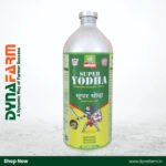 MULTIPLEX SUPER YODHA