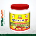 MULTIPLEX MAGNUM Mn