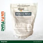 Mosaic Reva 00-52-34 - Image 2