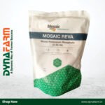 Mosaic Reva 00-52-34