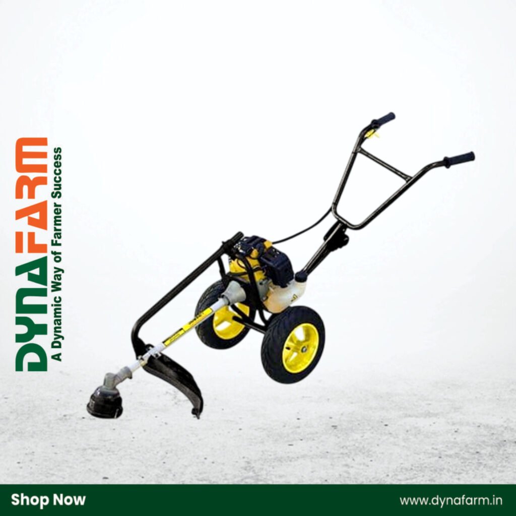 Dynafarm - InShot 20260307 145519765.jpg