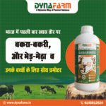 Dyna Bakra Booster Goat And Sheep Growth Support Supplement | Nutrition And Vitality Support Formula - Image 2